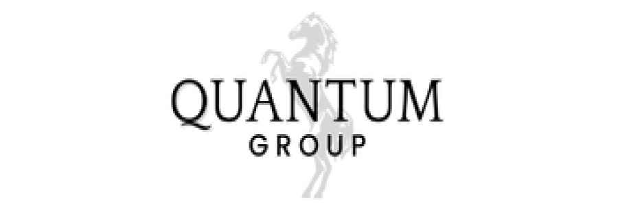 The Quantum Group – Tracy Hemingway & Niko Nicholson