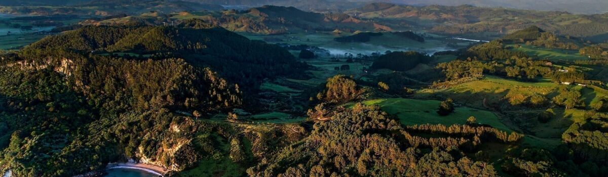 The Coromandel Peninsula: A Hub of Agriculture and Natural Beauty Surrounding 1093 Tairua Whitianga Road