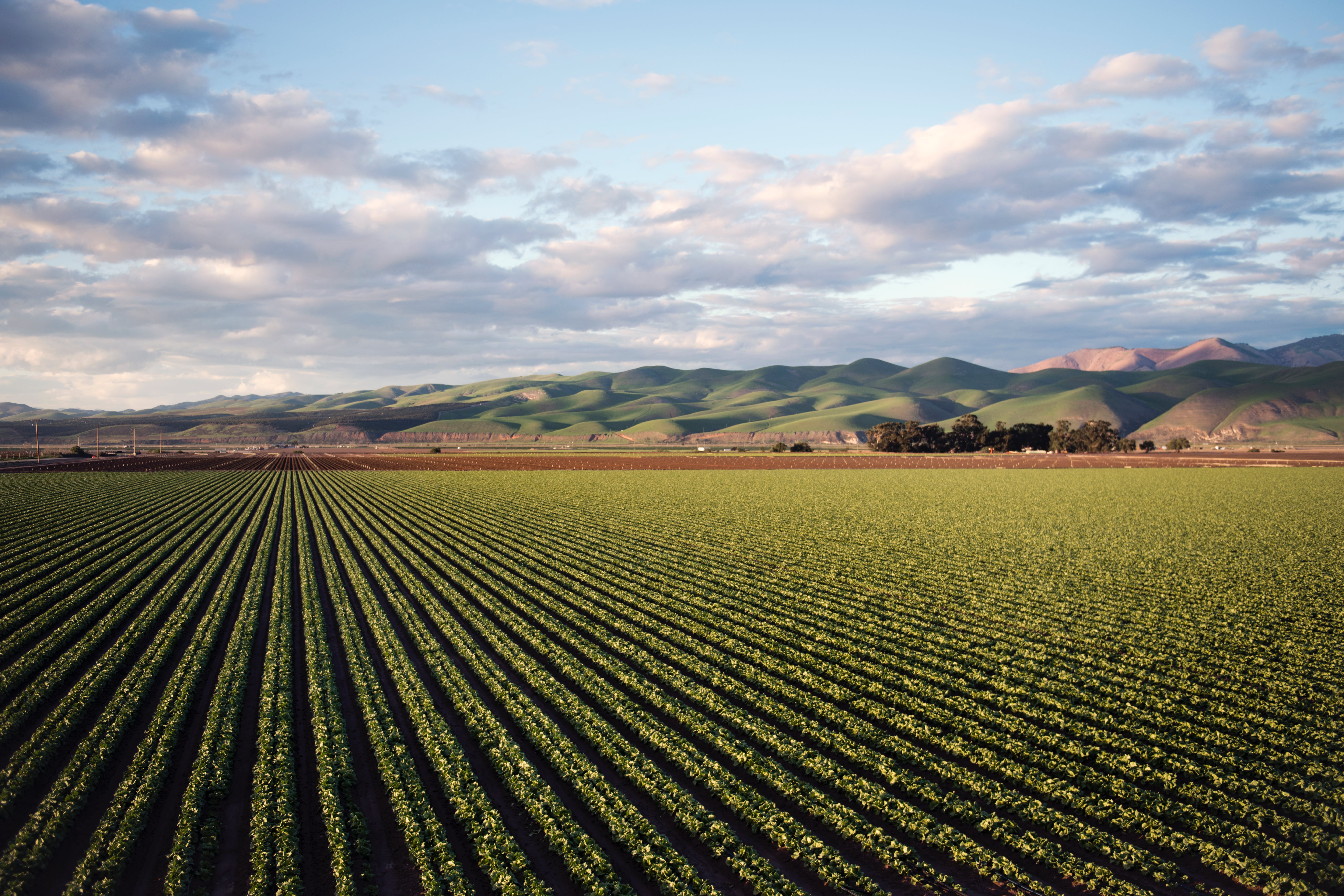 The Role of Soil Health in Sustainable Agriculture Practices in New Zealand – Opinion piece by Hamilton- based soil scientist Dr. Gordon Rajendram