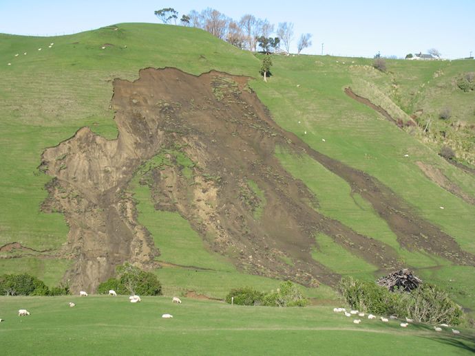 Mitigating Soil Erosion in New Zealand: Strategies and Success Stories