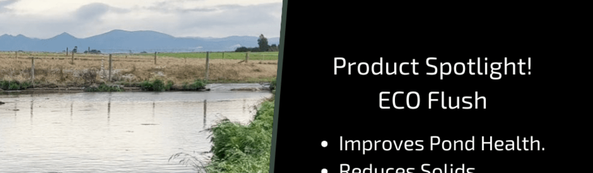Agraforum NZ’s Eco Flush: Revolutionising Effluent Pond Management for Sustainable Agriculture
