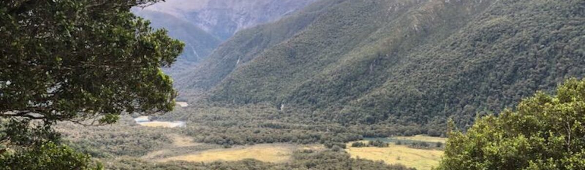 Exploring the Prominent Soils of South Island, New Zealand: Insights from Agraforum New Zealand