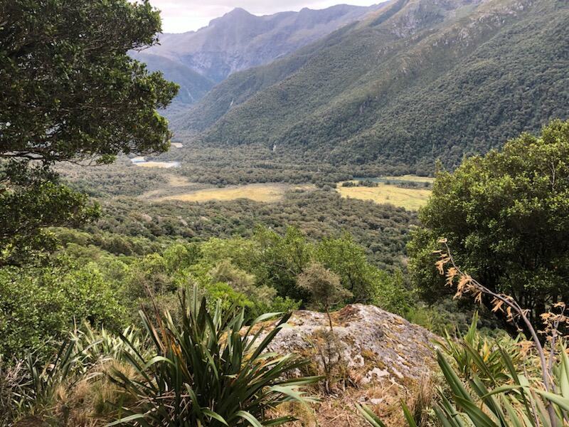 Exploring the Prominent Soils of South Island, New Zealand: Insights from Agraforum New Zealand