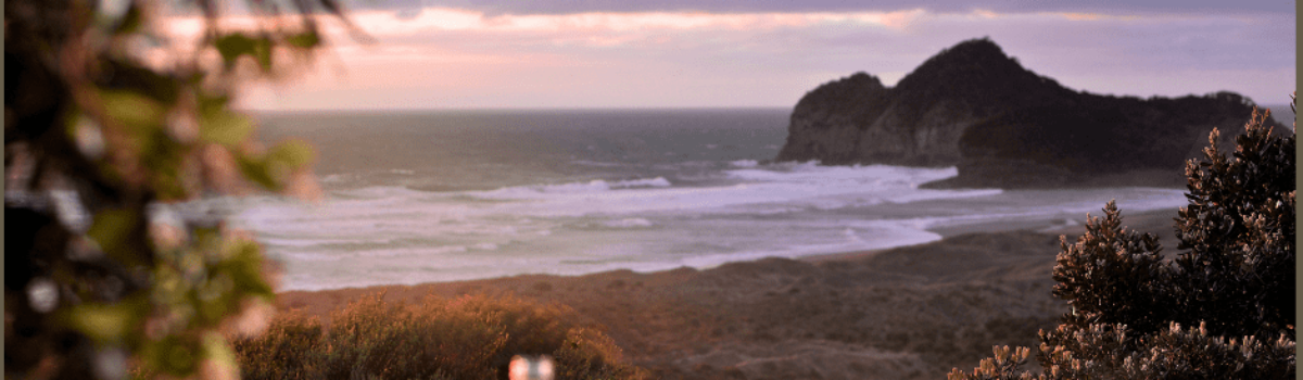 Experience Long-Term Living at Te Koinga Cottage, Bethells Beach Cottages, Auckland