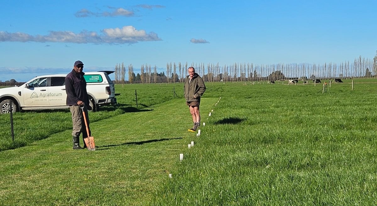 Soil Compaction: A Hidden Threat to Root Development and Forage Growth – Agraforum New Zealand
