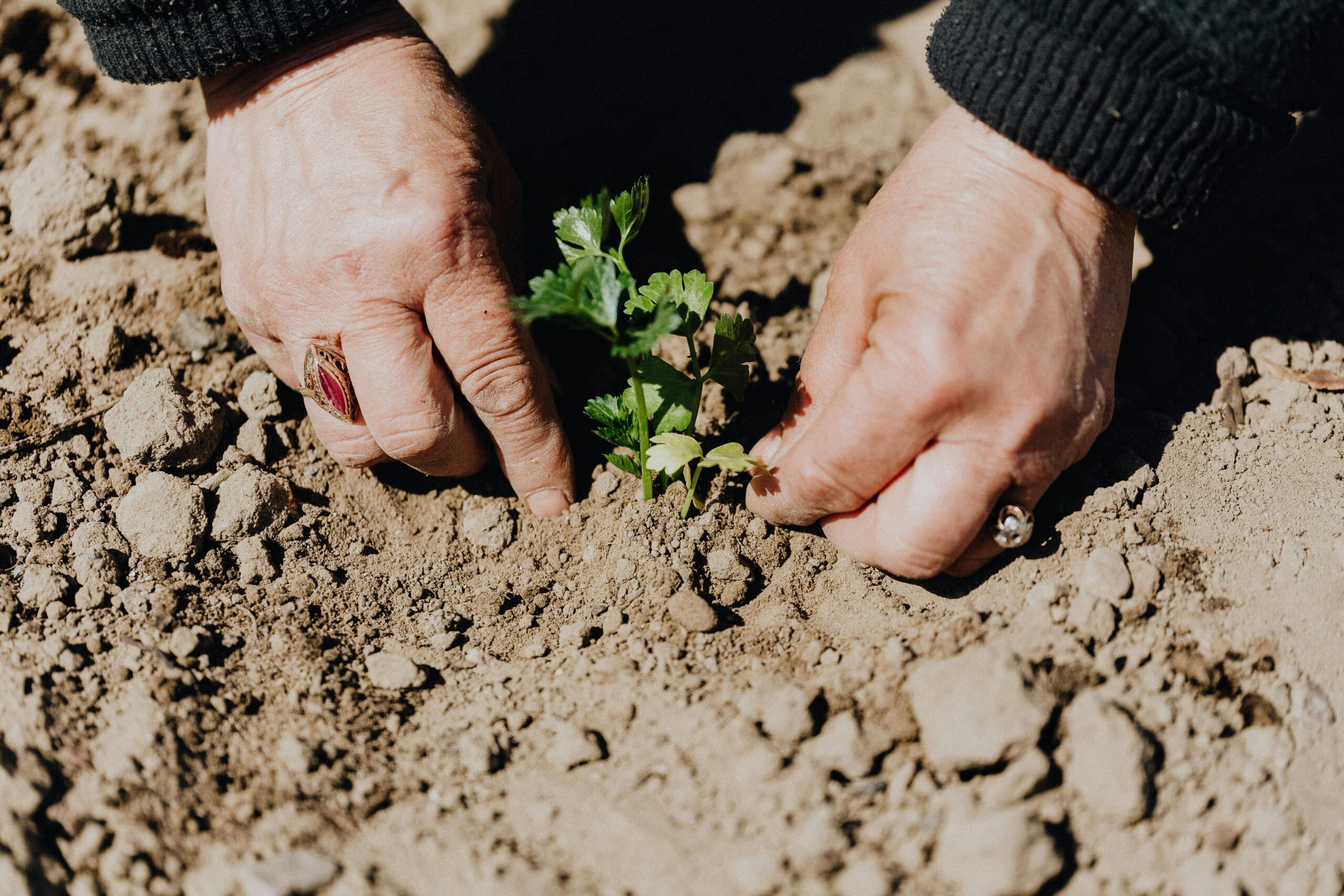 The Vital Role of Fertilisers in Soil Health with Profile Fertilisers, Pahiatua