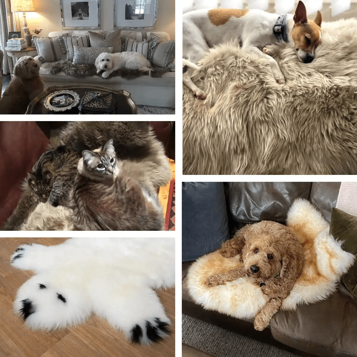 Warm Sheepskin Pet Rugs for the Fur Baby in Your Life
