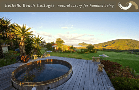 Roads Are Open to Welcome You at Bethells Beach Cottages, Auckland Accommodation
