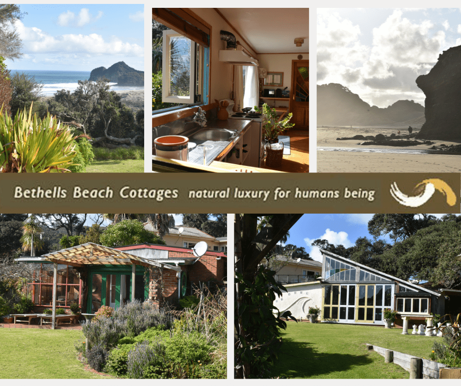 An Enchanting Retreat: My Serene Escape to Bethells Beach Cottages