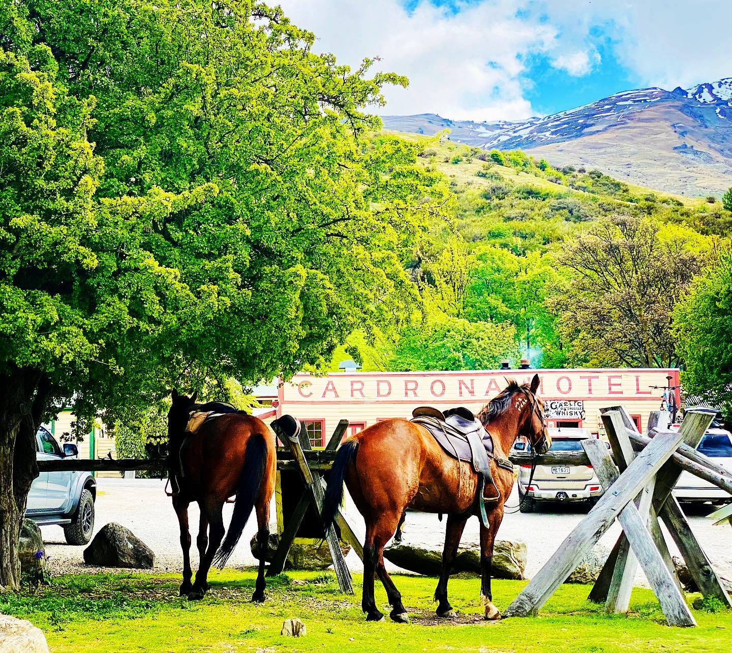 Experience Spring in Full Bloom with Cardrona Horse Treks and 4×4 ATVs: A Perfect Time for Work Events