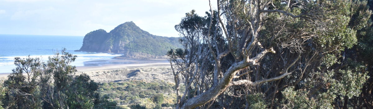 Treat Your Team to a Relaxing Retreat at Auckland’s Bethells Beach Cottages