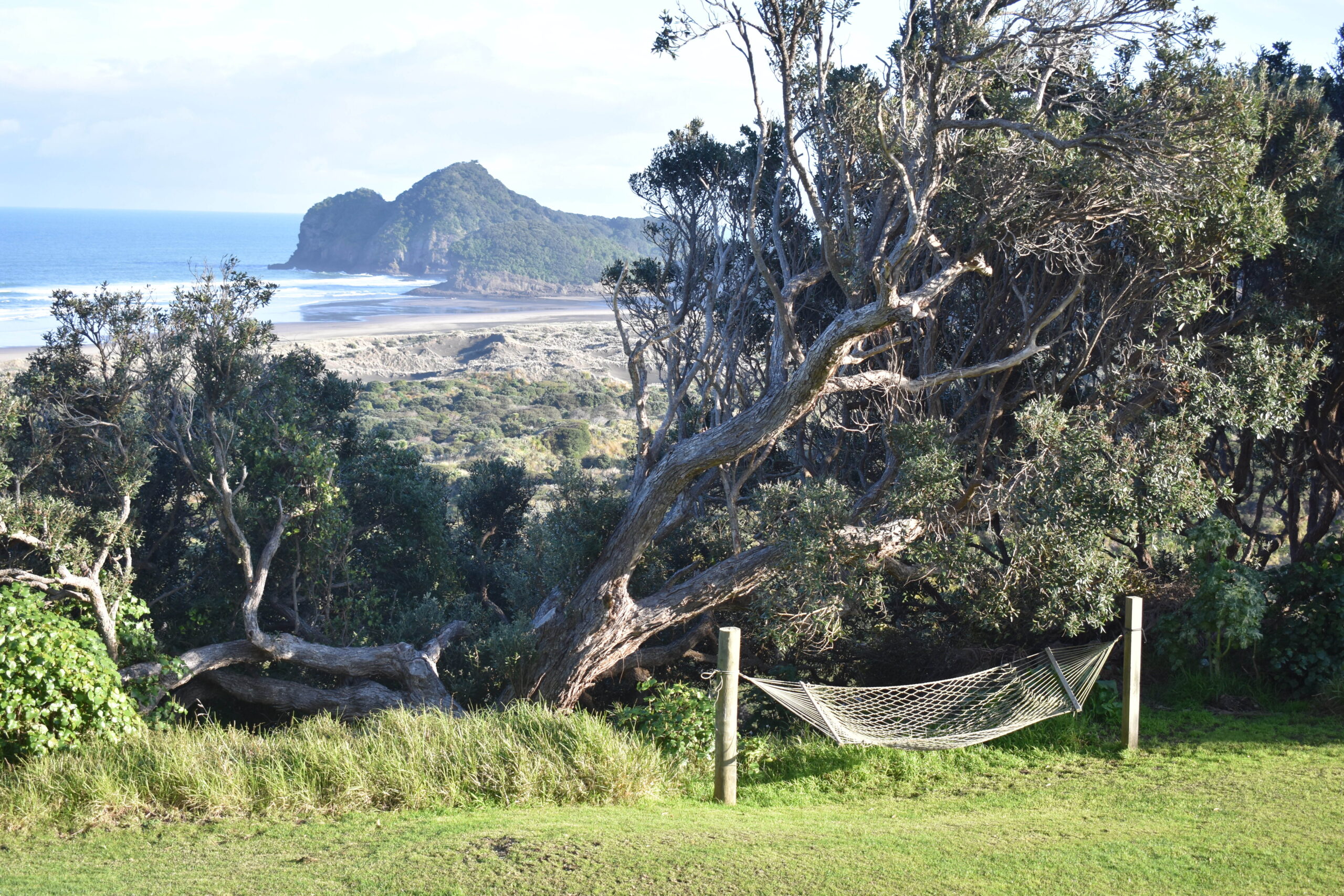 Treat Your Team to a Relaxing Retreat at Auckland’s Bethells Beach Cottages