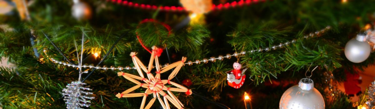 Celebrate Christmas in Auckland with Best Western Newmarket: 7 Reasons to Book Your Stay Now