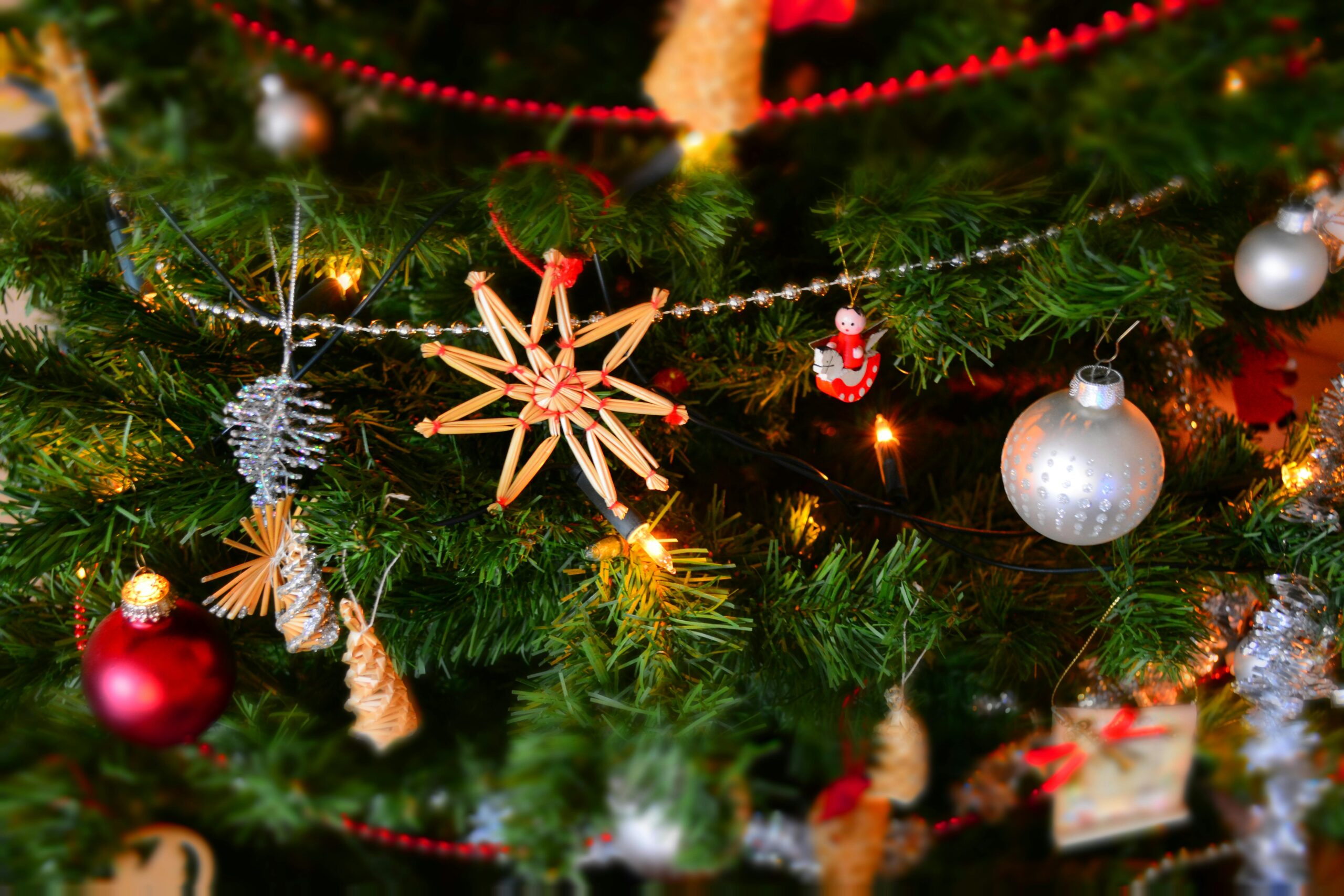 Celebrate Christmas in Auckland with Best Western Newmarket: 7 Reasons to Book Your Stay Now