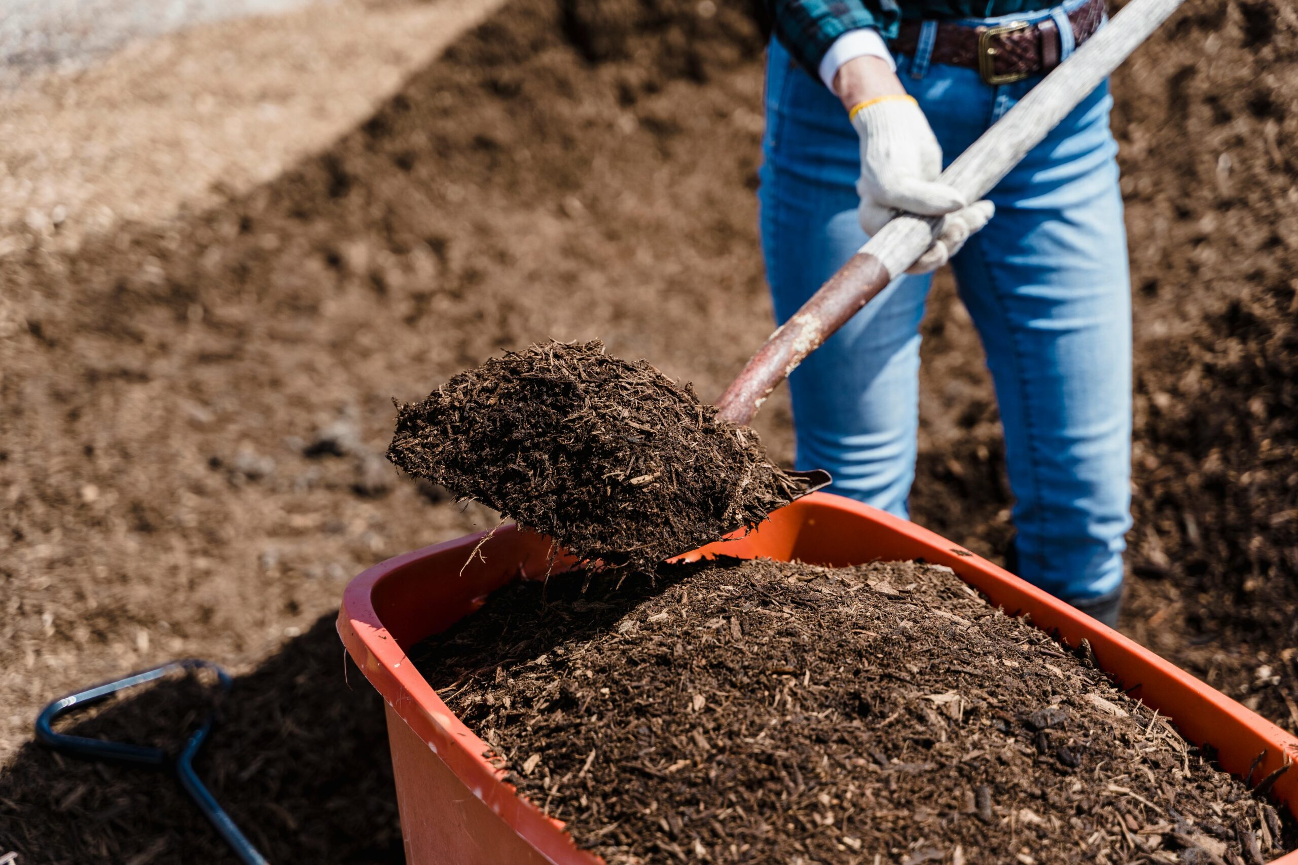 The Role of Organic Mulches in Protecting Soil Health During Summer Droughts – Insights from Dr Gordon Rajendram